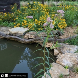 Photo of Down To Earth Services
