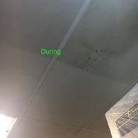 Photo of NuClean Ceiling and Wall Restoration
