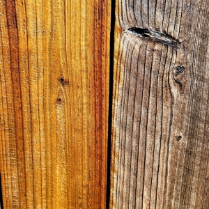 Photo of Premier Pressure Washing Services