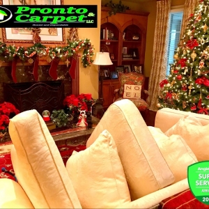 Photo of Pronto and Carpet