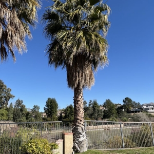 Photo of Martz Landscape