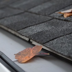 Photo of One Gutter Guard