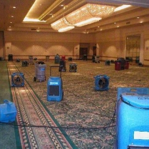 Photo of B-Wise Cleaning & Restoration Inc