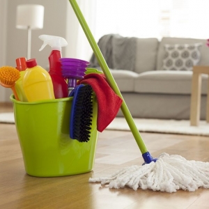 Photo of The Cleaninâ Lady