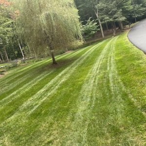 Springfield Midway Landscaping and Powerwash