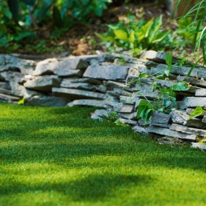 Photo of Affordable Lawn Sprinklers