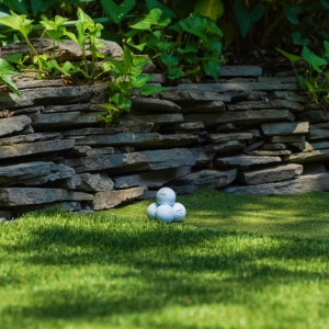 Photo of Affordable Lawn Sprinklers