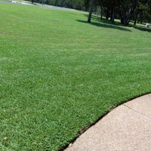 Photo of Goat Lawn Services