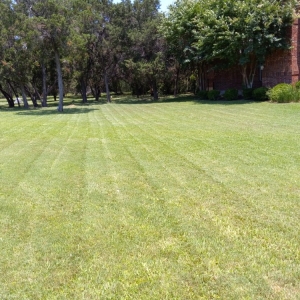Photo of Goat Lawn Services