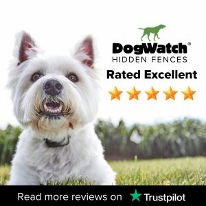 Photo of DogWatch of St. Louis