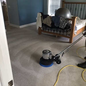 Photo of Mr. Steam-Tech