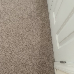 Photo of Mr Steam Carpet Cleaners