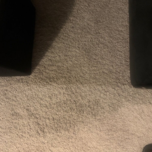 Photo of Mr Steam Carpet Cleaners