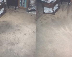 Photo of GreenShield Home & Carpet Care