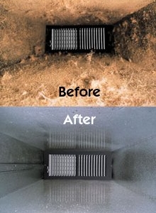 Photo of GreenShield Home & Carpet Care