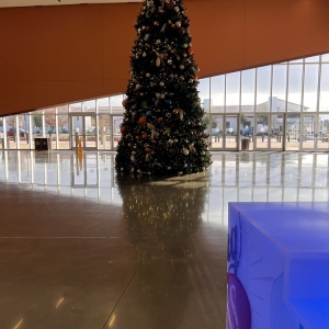 Photo of Irving Convention Center At Las Colinas
