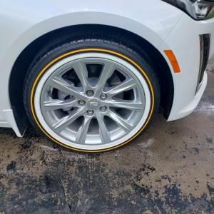 Photo of Antonio Pressure Washing Detailing Service