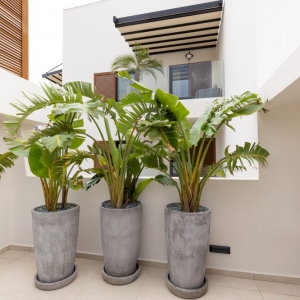 Photo of Kreative Landscaping Design & Build