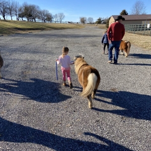 Photo of Pine Dell Horse Farm