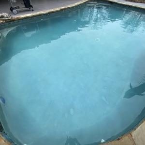 Photo of Pool Shark Services