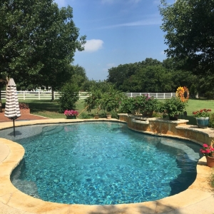 Photo of Pool Shark Services