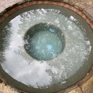 Photo of Pool Shark Services