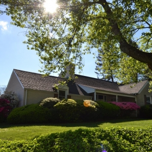 Photo of Renata Martello - Keller Williams Real Estate