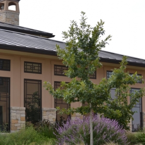Photo of Wilson Landscape Nursery & Florist