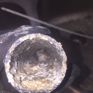 Photo of Bay Area Quality Services