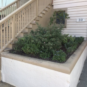 Photo of Bay Area Quality Services