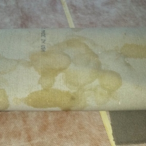 Photo of Aqualux Carpet Cleaning