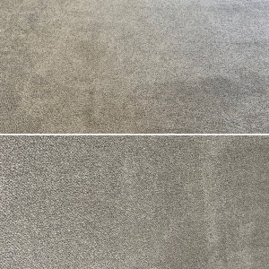 Photo of J & T's Professional Carpet Cleaning