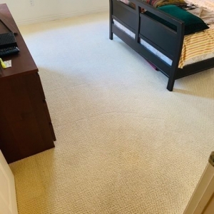 Photo of Carpet Cleaners Los Angeles