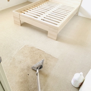 Photo of Carpet Cleaners Los Angeles
