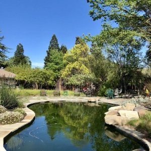 Photo of Summit Pool & Spa