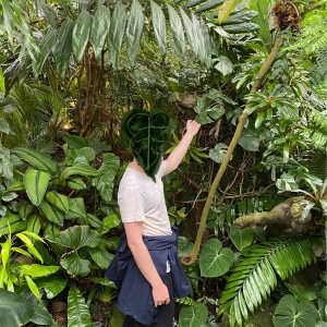 Photo of Conservatory of Flowers