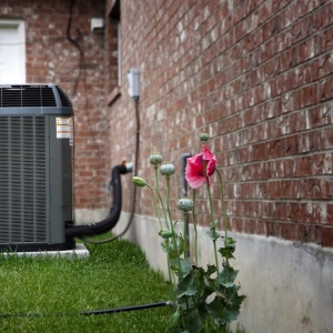 Photo of Palmetto Heat & Air