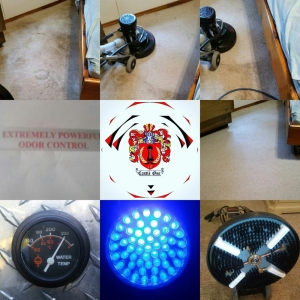 Memphis Castle One Rotary Steam Carpet Restoration