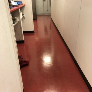 Photo of Tidy Team Cleaning Services