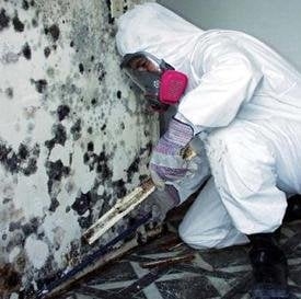 Photo of Maryland Home Restoration Experts