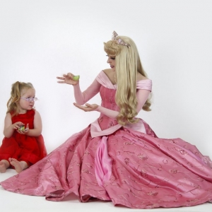 Photo of Smile and a Song Princess Parties