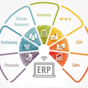 Photo of Ximple Solutions