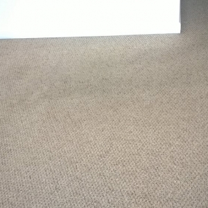 Photo of Good Guys Carpet Cleaning