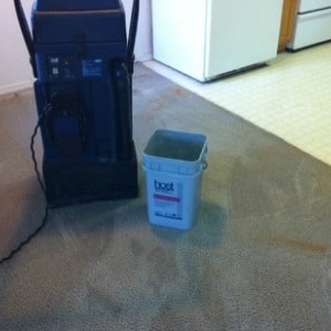 Photo of LadyBug Carpet Care