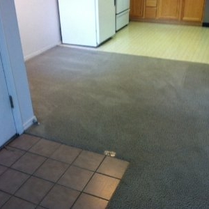 Photo of LadyBug Carpet Care