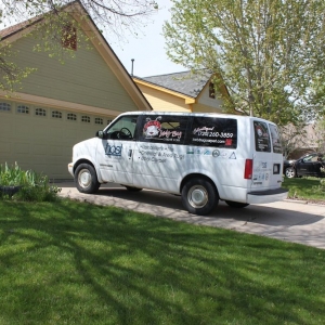 Photo of LadyBug Carpet Care