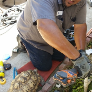 Photo of The Water Guy