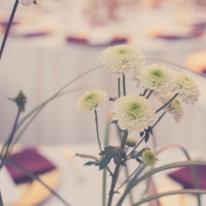 Photo of Richelle Juniper Photography