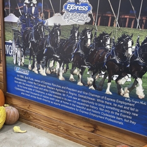Photo of Express Clydesdales