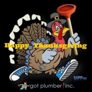 Photo of Got Plumber?
